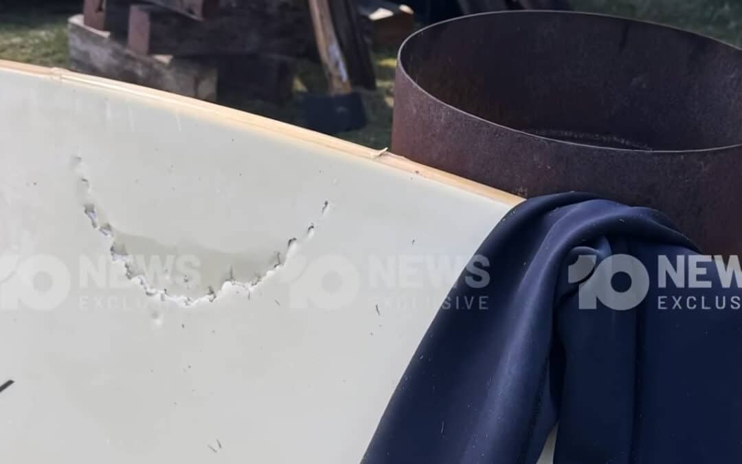NSW Shark Attacks