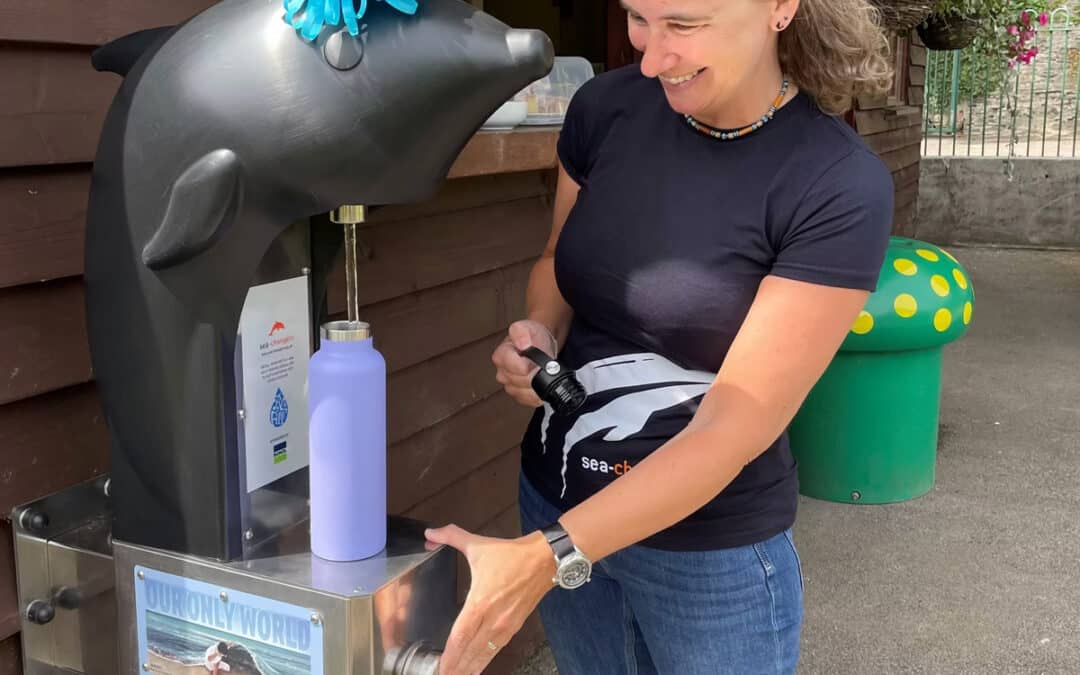Does your Beach Need a Water Fountain?
