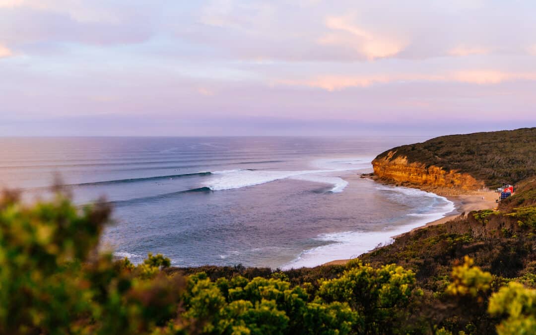 Carvemag’s Bells Beach Hot Watch