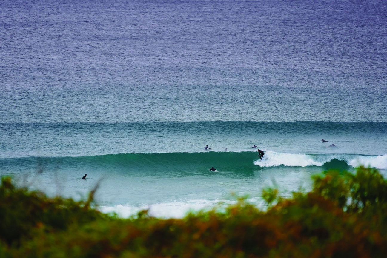 Birds of Paradise Lodge, Aljezur