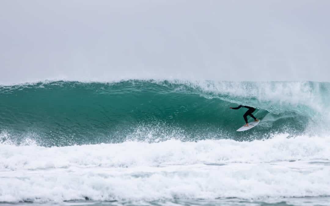 Channel Islands Regional Report