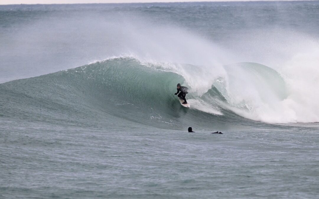South West Regional Report