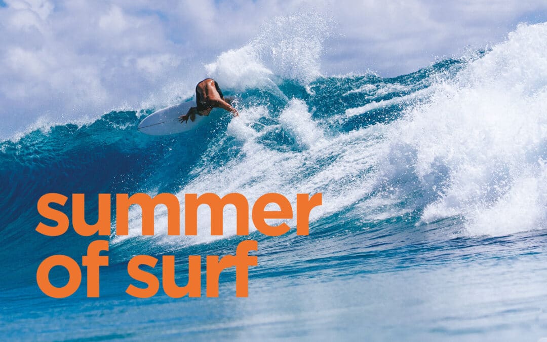 Carve Summer Board Guide