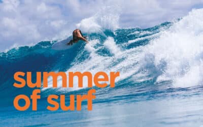 Carve Summer Board Guide