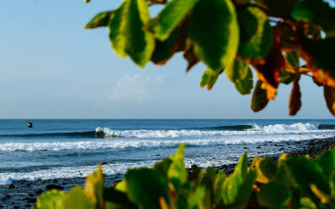 El Salvador Preview