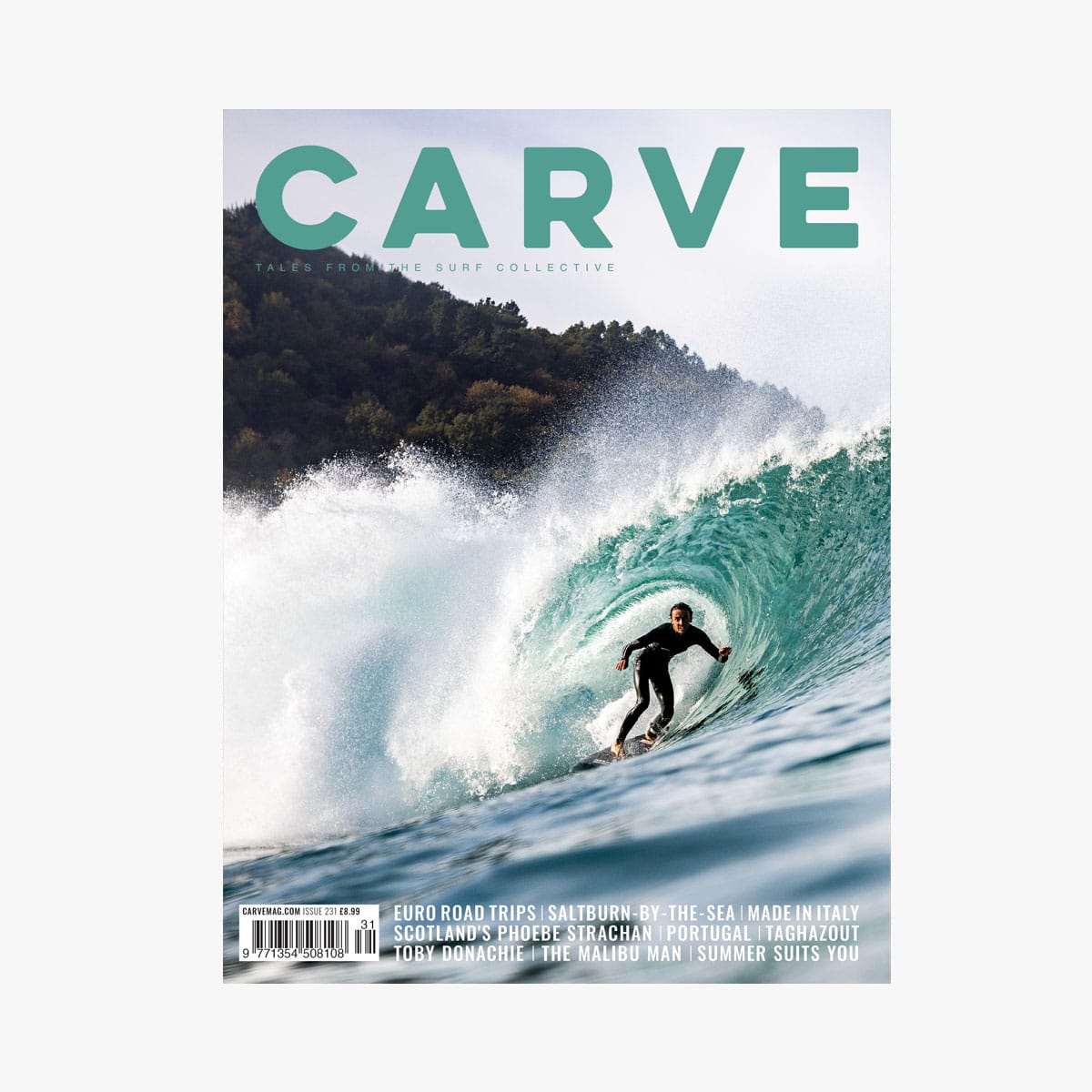 carve231