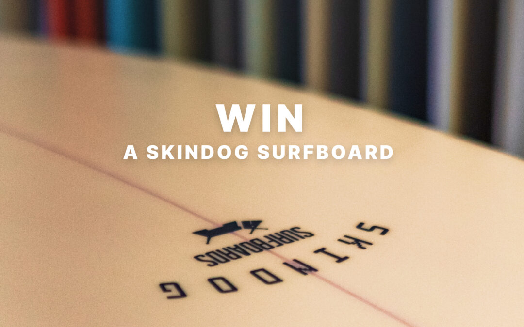 Skindog Surfboards: OVA Surfboard Up For Grabs