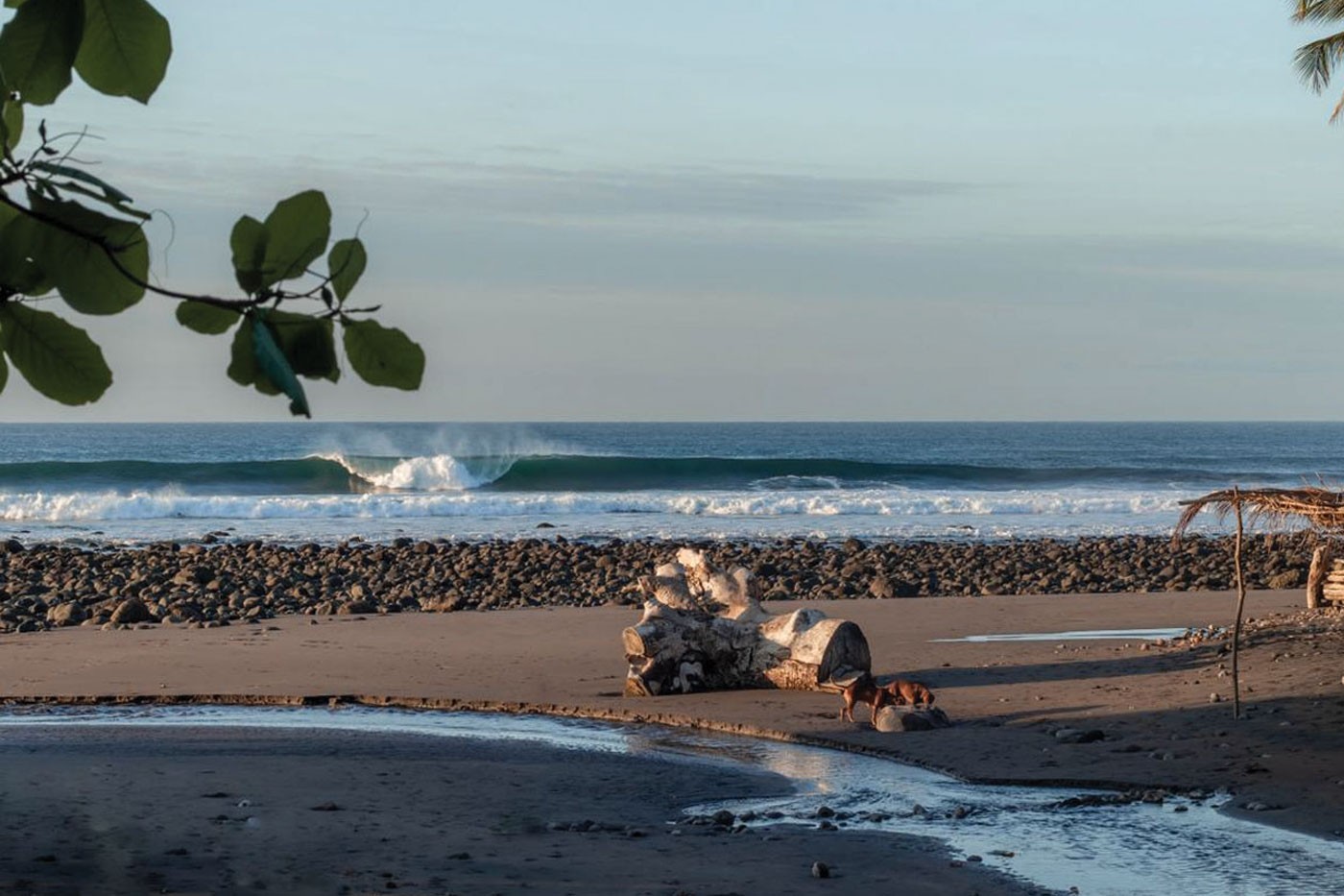 Empty wave at El Zonte, El Salvador