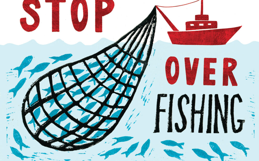 Boardmasters, Oceana and Falmouth University