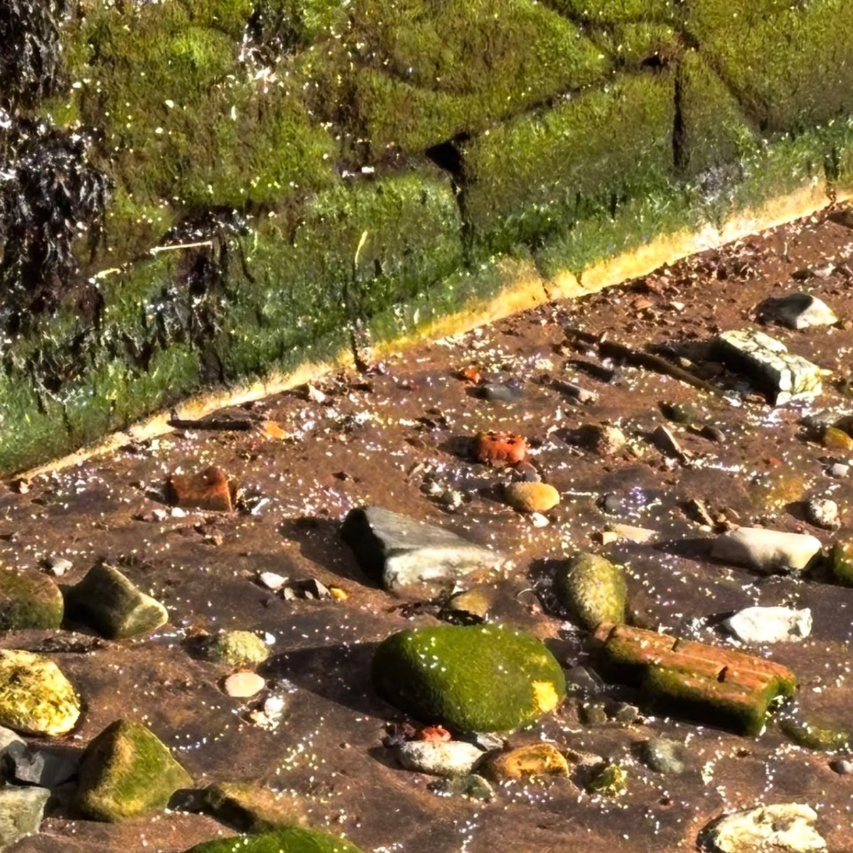 image1