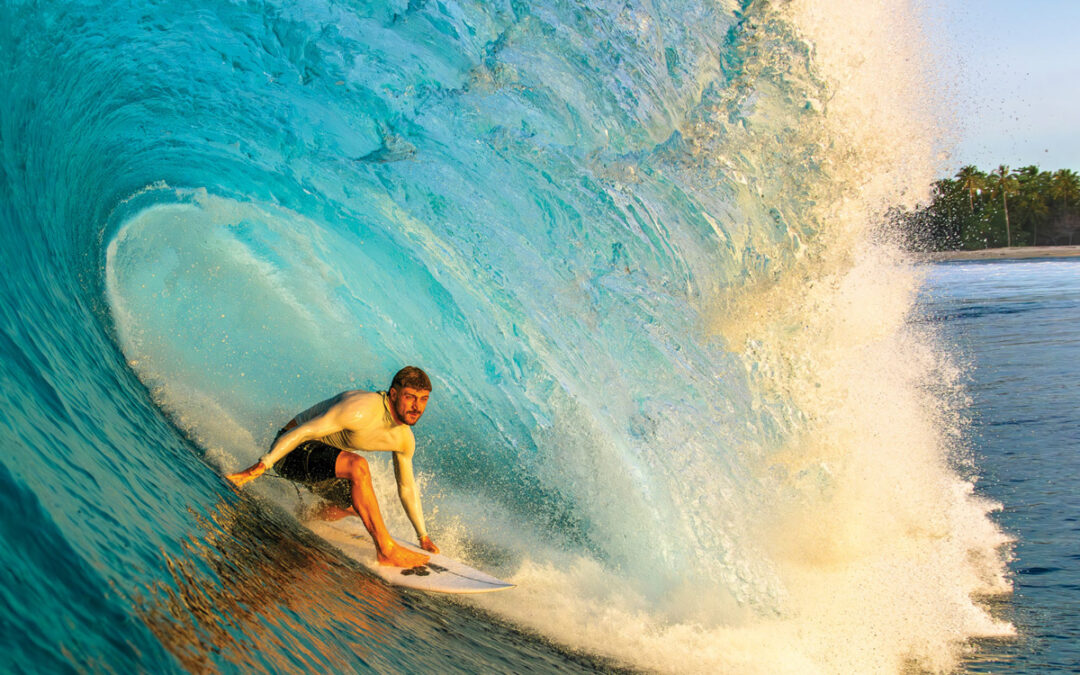 Carve Magazine Issue 233