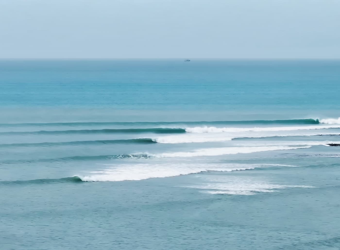 JJF4