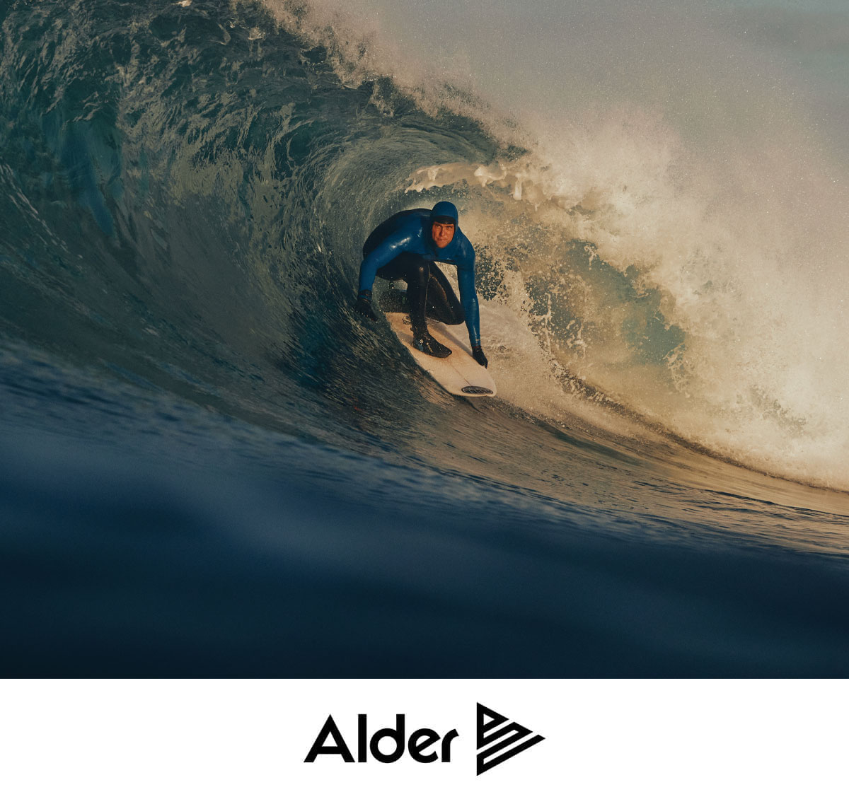 alder-main