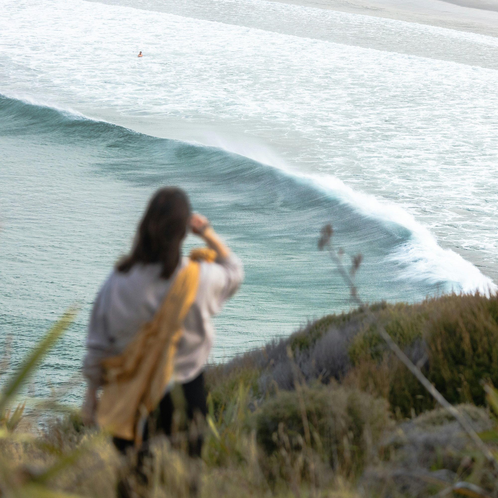 Watching a clean wave break from the dunes above the beach