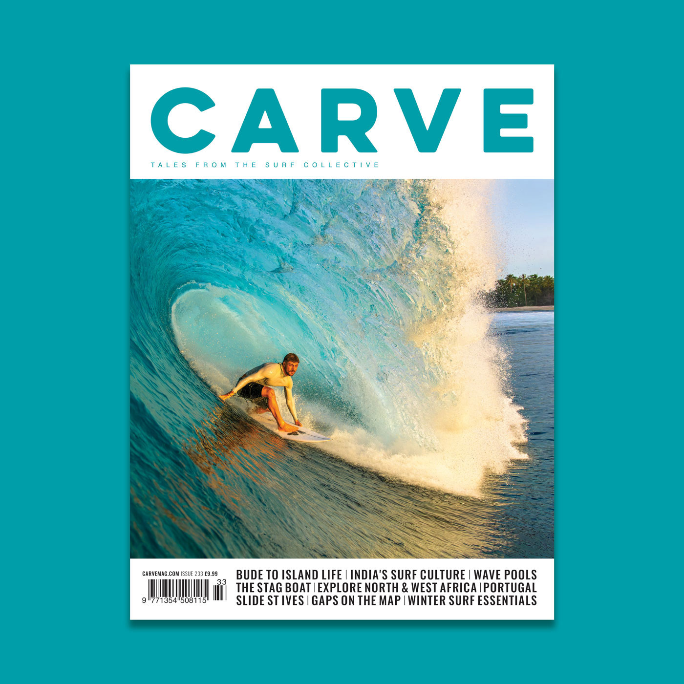Carve Magazine Subscription