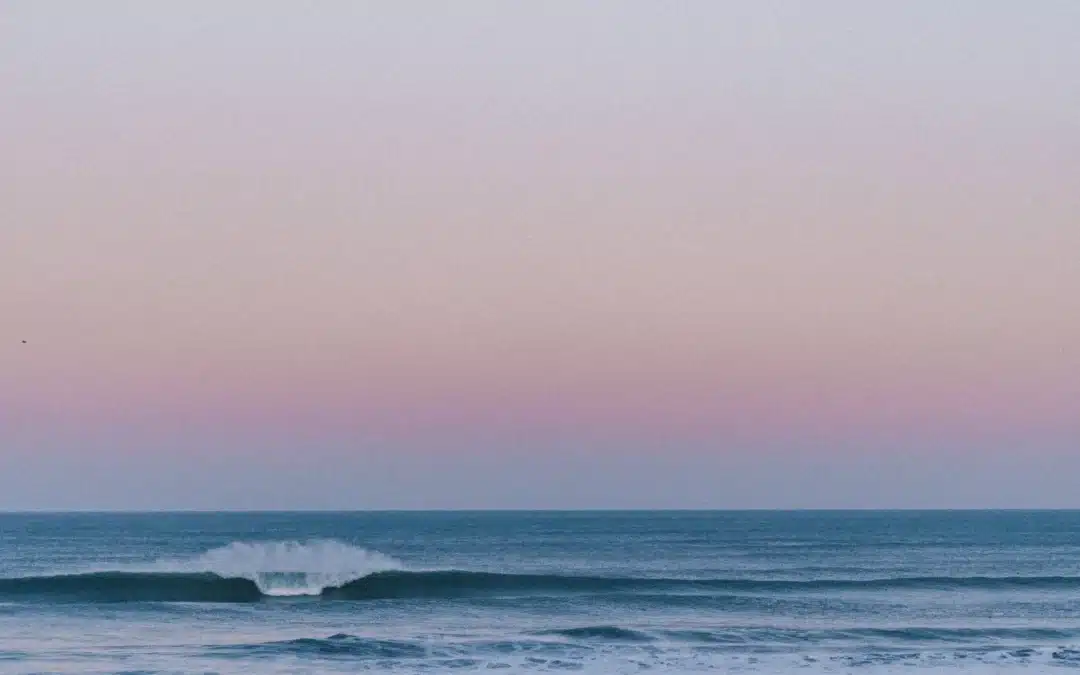 Noah Klapp Speaks Out as WSL Suspends CT Surfer